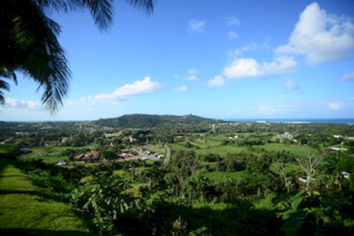 Exterior of Rainforest & Ocean View Inn at Carabali