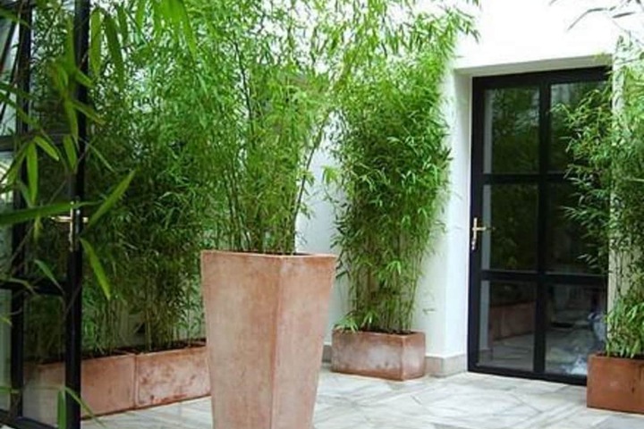 Terrace/Patio 40 of 46