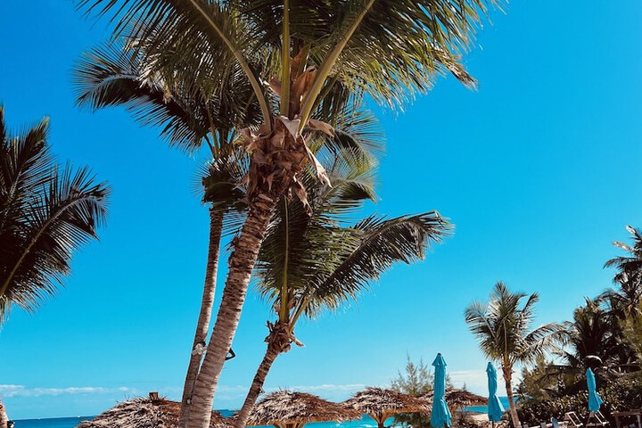 Beach 28 of 31