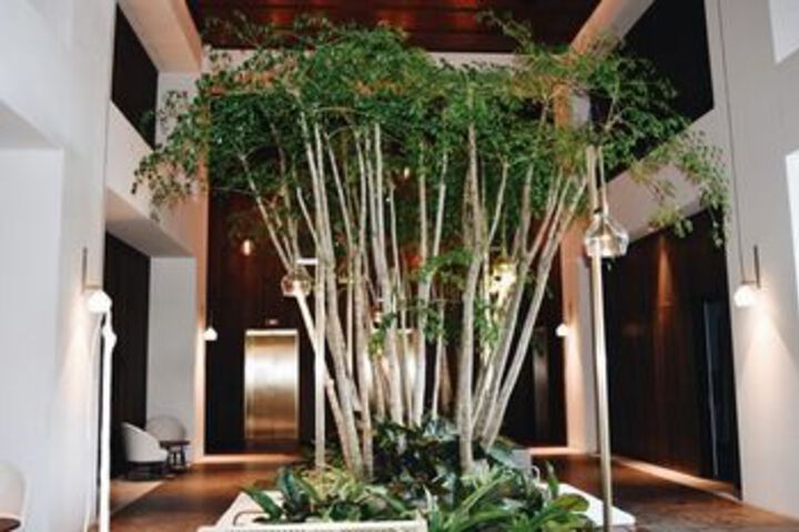 Hotel Interior 31 of 40