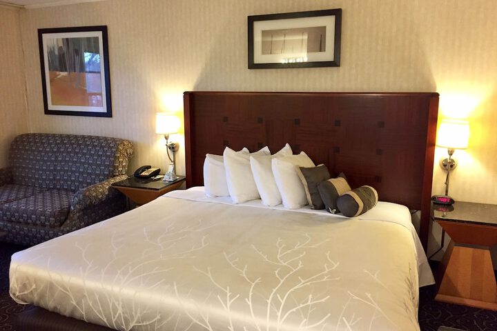 1 King Bed (3 of 12)