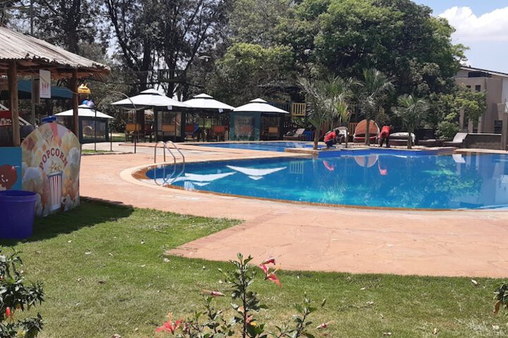 Pool 19 of 49