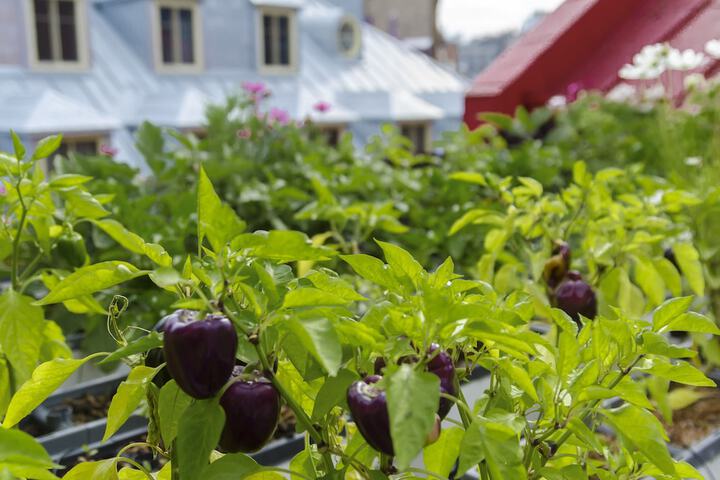 Hotel Exterior 58 of 63