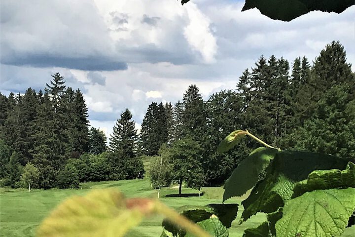 Golf 53 of 88