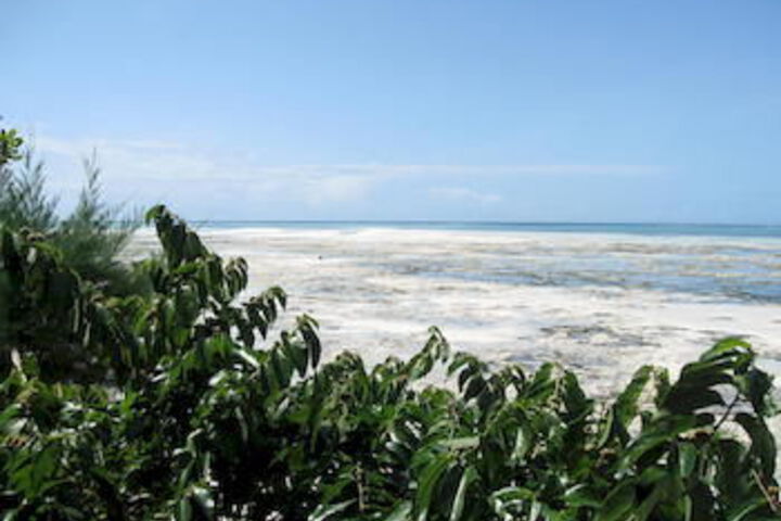 Beach 14 of 63