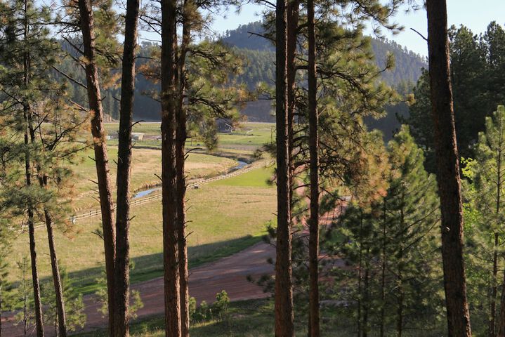 Hotel View 152 of 154