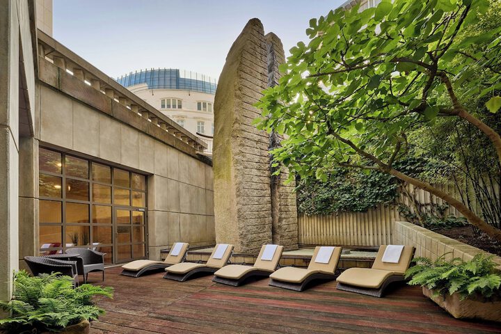 Wellness Treatments