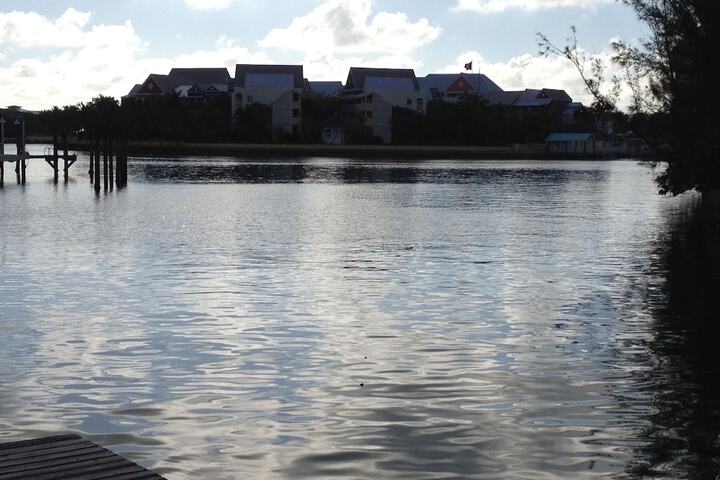 Water view