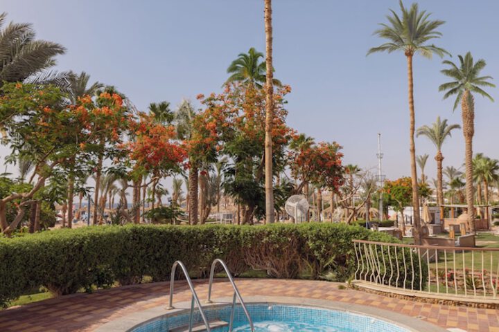 Pool to Cool