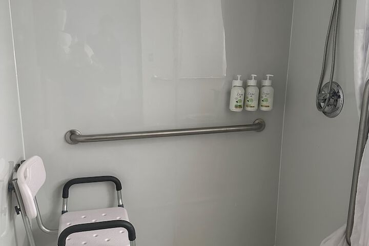 1 King Bed Accessible (8 of 13)