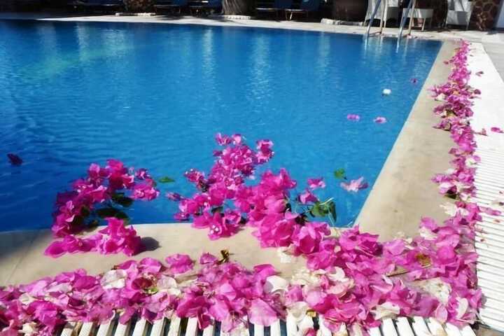 Pool 59 of 79