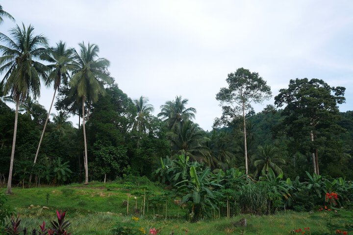 Property Grounds 14 of 28