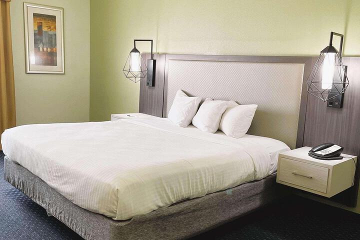 1 King Bed (8 of 12)