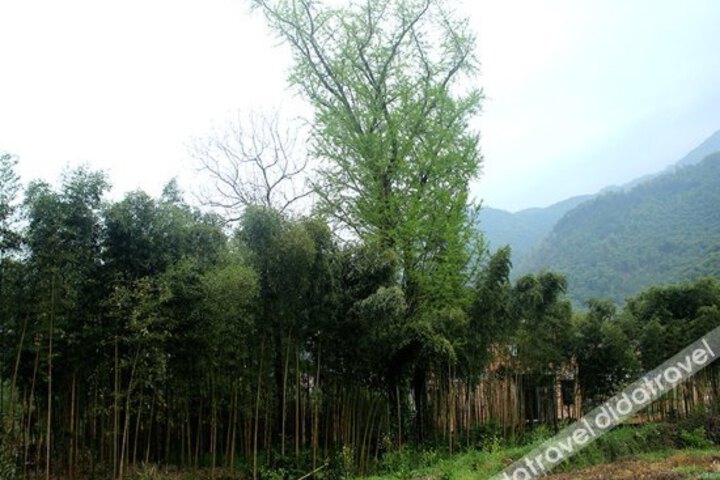 Anji Laobin Farmstay