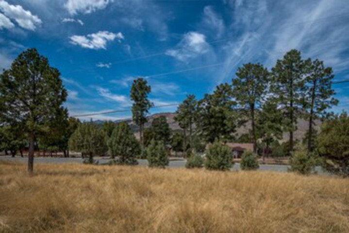 Property Grounds 18 of 25