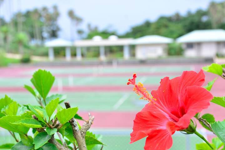 Tennis and Basketball Courts 22 of 60