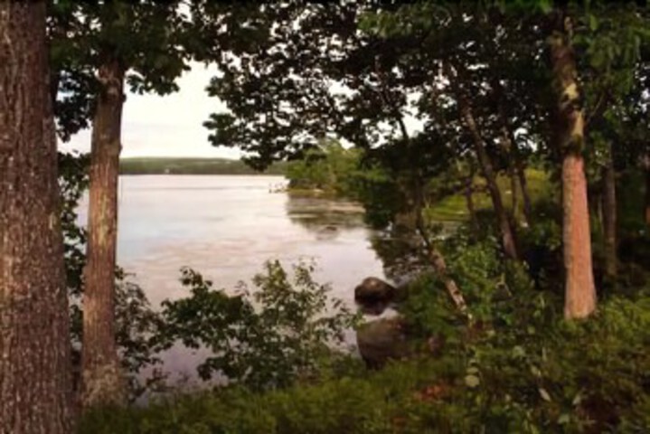 Property Grounds 15 of 55