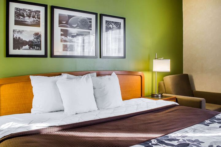 1 King Bed (3 of 13)
