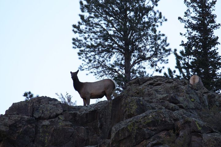 Property Grounds 159 of 183