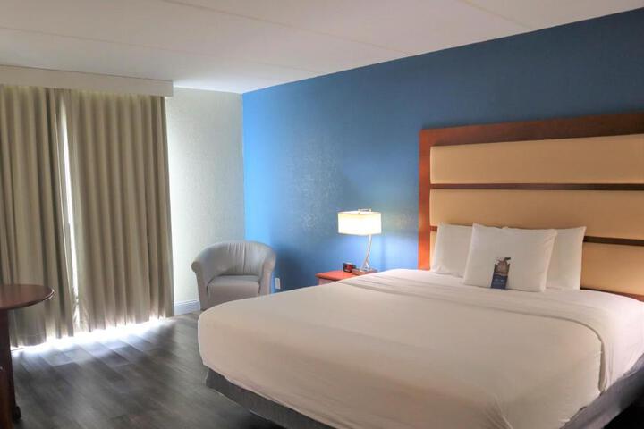 1 King Bed (6 of 9)