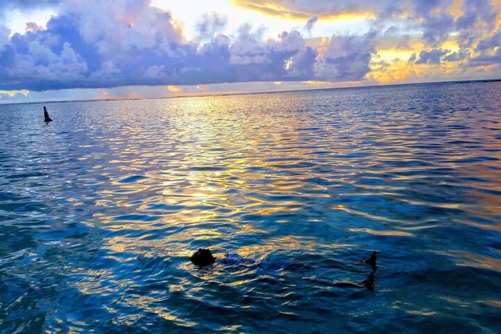 Beach 30 of 41