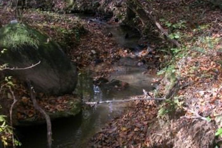 Property Grounds 55 of 60