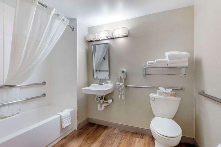 1 King Bed Accessible (6 of 17)