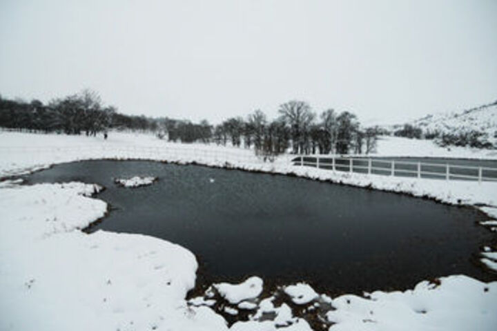 Property Grounds 18 of 49