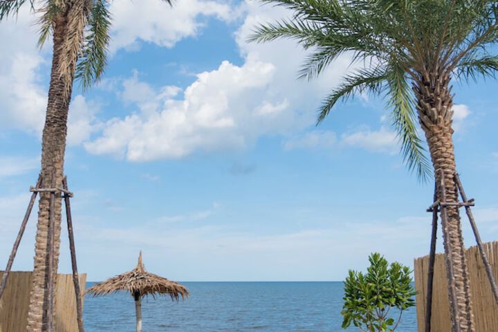 Beach 238 of 254