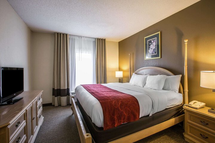 1 King Bed Suite (8 of 18)