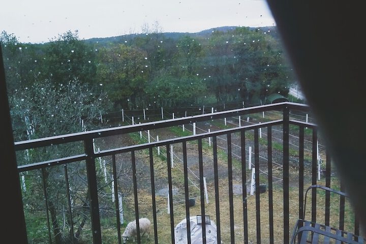 Terrace/Patio 16 of 16