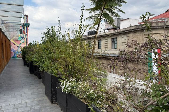 Terrace/Patio 76 of 108