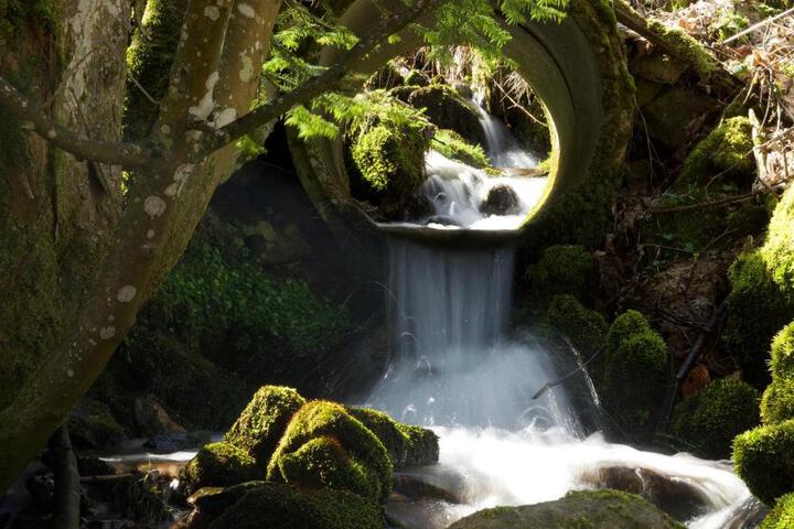 General 4 of 32