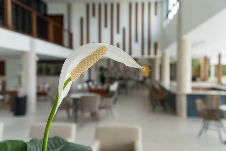 Hotel Interior 9 of 37