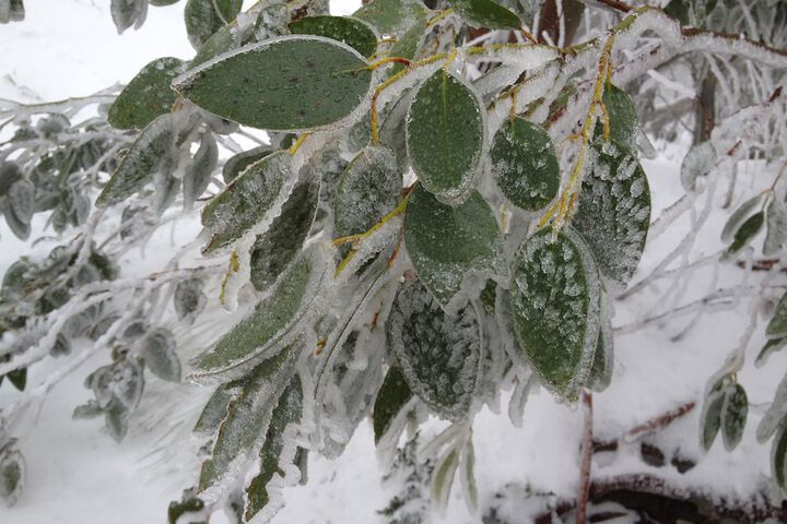 Hotel Exterior 13 of 13