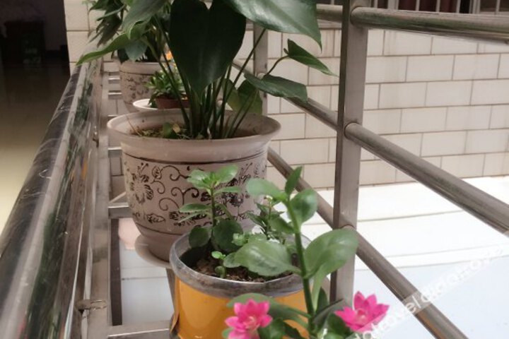 Libo Lidu Hotel