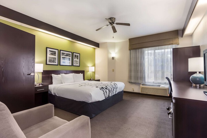 1 King Bed (7 of 11)