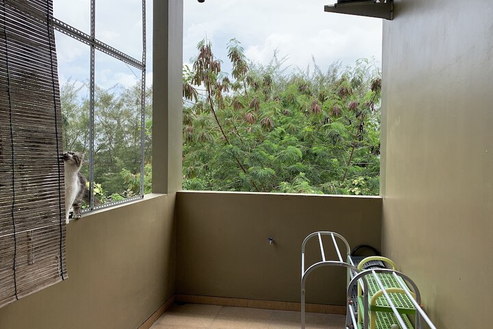 Terrace/Patio 36 of 58