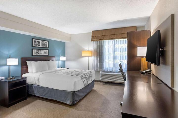1 Queen Bed (1 of 14)
