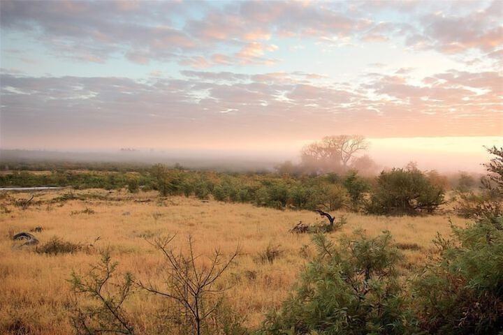 Game viewing