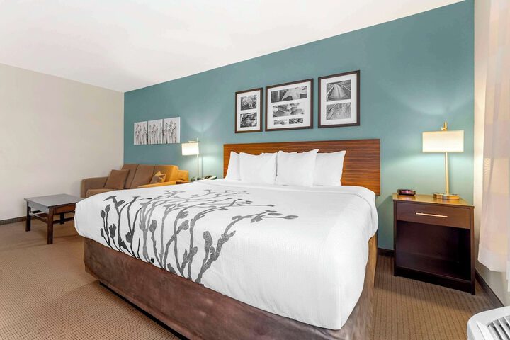 1 King Bed (13 of 20)