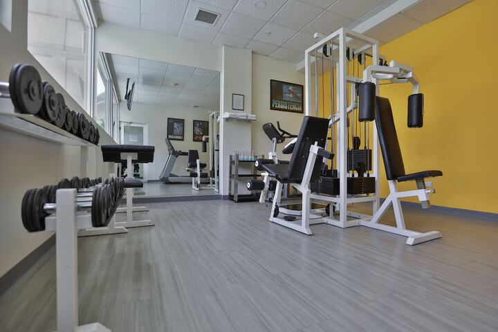 Gym & Fitness