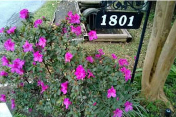 Property Grounds 41 of 43