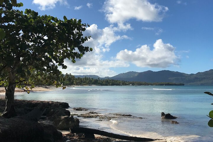 Beach 121 of 144