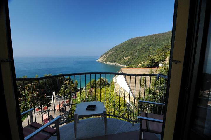 View from room