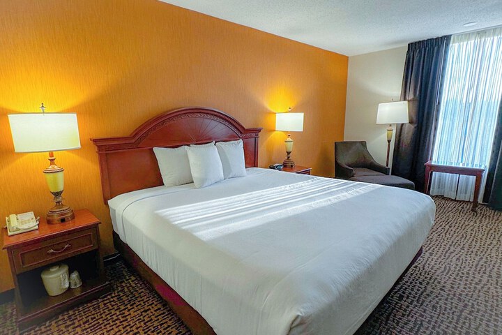1 King Bed (7 of 9)