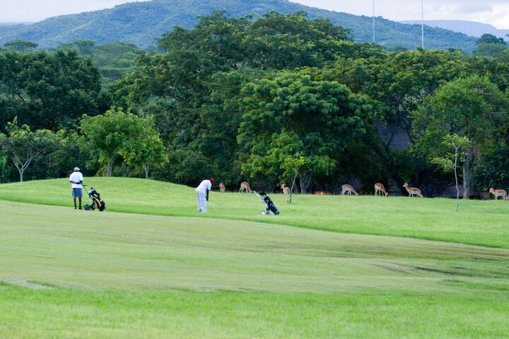 Golf 19 of 29