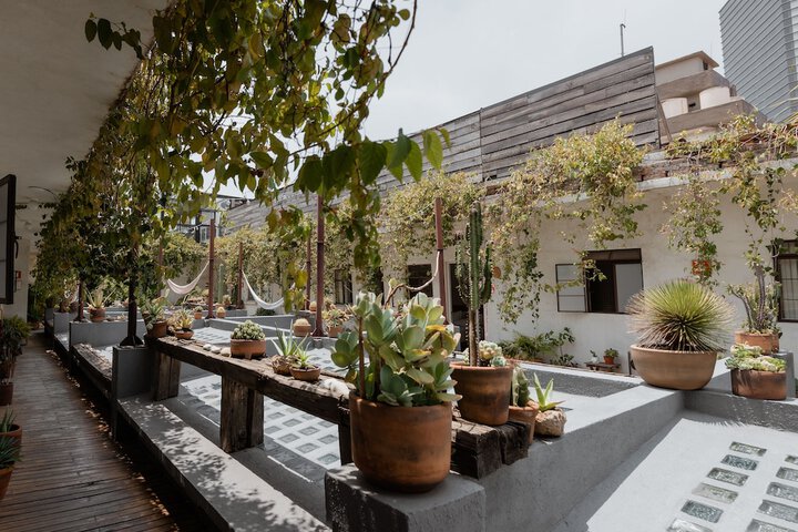 Terrace/Patio 21 of 41