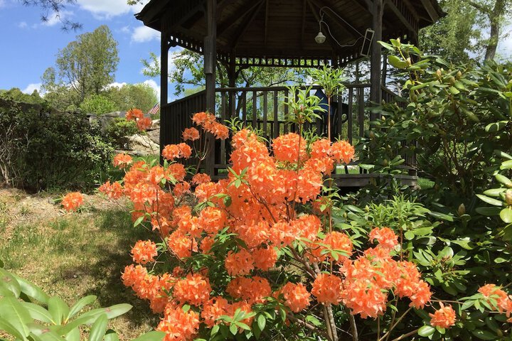 Hotel Exterior 88 of 97