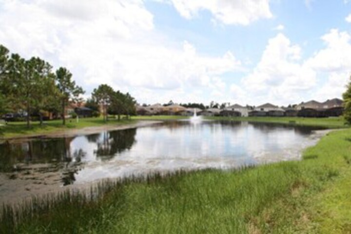 Property Grounds 33 of 74